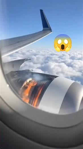 Passenger Records Jet Engine Fire Mid-Air 😱✈️ | Shocking Footage #shortsvedio