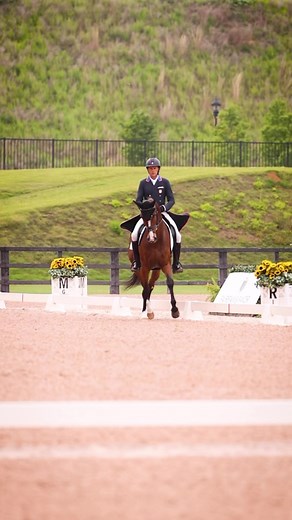 19K views · 976 reactions | Commando 3 on his way to the CCI4*S win  at the Tryon International Equestrian Center & Resort! | Boyd Martin | Facebook