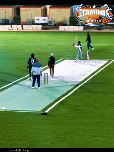 Exciting Batting Highlights in Cricket