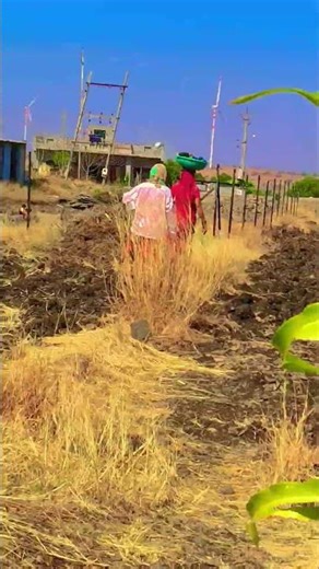 आयुष्यात काही कमवता नाही आल तरी चालेल#viral #youtube #nature #फार्मर