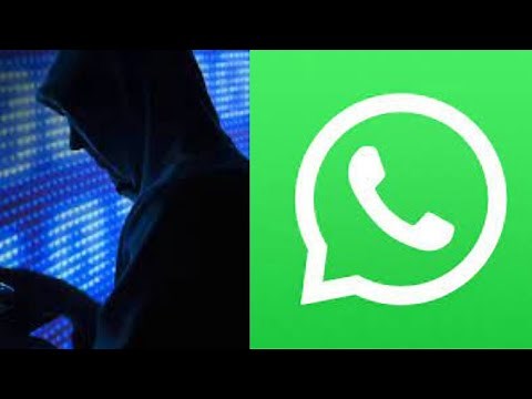 Voici comment pirater un compte WhatsApp