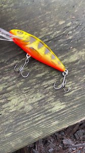 Three lure patterns for all water conditions 👌🎣🐟 #salmo #salmolures #salmohornet #catchmorefish #fishinglife #crankbaits #hardbaits #lurefishing #bigperch #baarsvissen #fishingvideos #lovetofish #thetugisthedrug #instagramfishing #perch #crankbaitfishing #troutfishing #gamefishing #fishingrod #fishingtackle #fishingreel #spinningrod #lureporn #trout #troutfishing #instagramfishing | Salmo