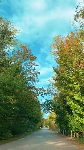 🍂🌳 Calling all nature lovers in Bayfield! 🌿✨ Are you ready to explore the breathtaking beauty of this village during the vibrant fall season? 🍁🍂Bayfield is a nature enthusiast's dream come true, offering a plethora of wonderful activities and sights to behold. Take a leisurely stroll along the picturesque beaches, with the sound of the rustling leaves and the gentle breeze as your companions. 🏖️🍃🌊Embark on a mesmerizing hike through the enchanting forests, immersing yourself in the vibra