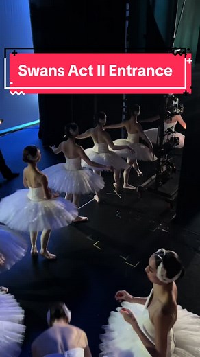 Magical Swan Lake Ballet Entrance