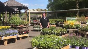 News from British Garden Centres | Brigg Garden Centre