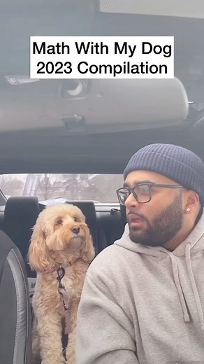 Luna The Mini Cockapoo | The best Math With My Dog videos of 2023 😳 #dogs #puppylove #minicockapoo #smartdog #2023 | Instagram