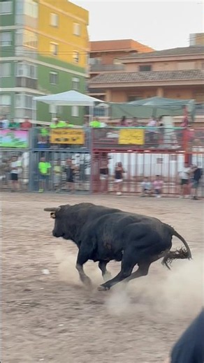 Poderío puro en la salida de este Toro ‼️