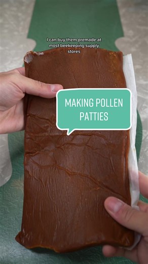 Making Pollen Patties for Bees: A DIY Guide