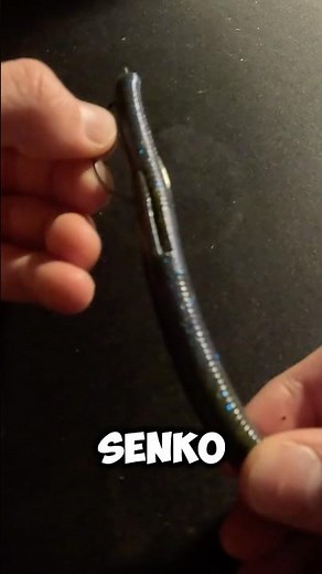 How to Texas rig a senko #bassfishing #fishing #bass #sportfishing #fish