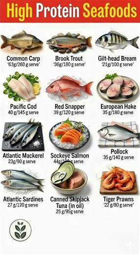 Top 12 High-Protein Seafoods | Best Lean Protein Sources & Nutrition Guide
