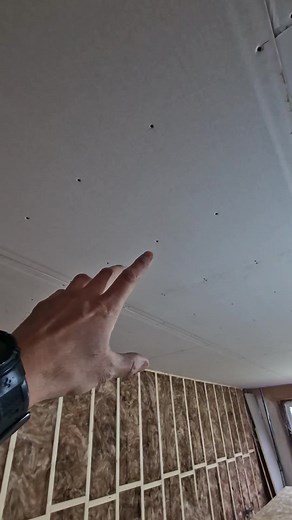 Who else prefers to board the stud walls prior to plasterboarding? 🤔 Yes, it's a little more time and money, but it makes the studs' walls sturdy and also gives you an option to fix something to the walls almost anywhere without trying to find the studs 👍 If so, what do you use OSB or Plywood? 🙌 #Plasterboard #OSB #Plywood #Studwall #Studwalls #Carpenter #Carpentry #Joiner #Joinery #Renovation #DIY #DIYTips | Tibby Singh