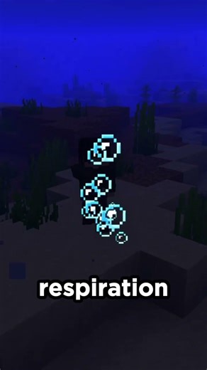 This idiot is sleeping underwater on this Minecraft server?! #minecraft