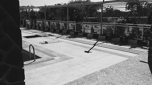 Serene Outdoor Pool Area in Black and White Clips