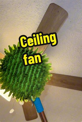 Satisfying ceiling fan cleaning #satisfyingcleaning #housecleaner #deepcleaningvideos #housecleaning #cleaningvideo #nontoxicliving
