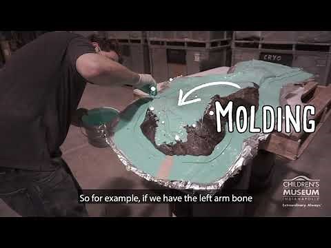 How We Put Dinosaur Skeletons Together | The Making of the New Dinosphere Exhibit