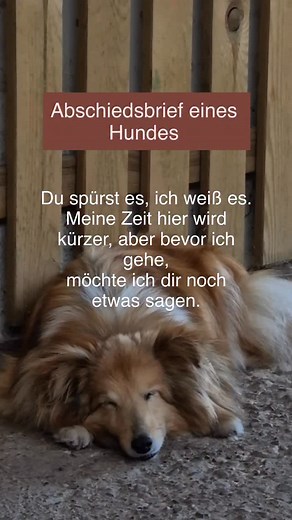 35K views · 3.2K reactions | “Ich bin noch immer ich, auch wenn ich...