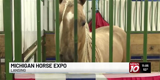 42nd annual Michigan Horse Expo draws hundreds of horses to MSU