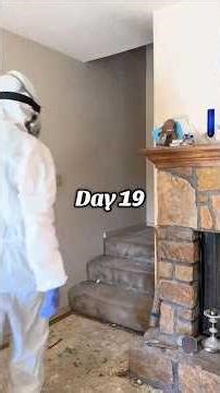 Day 19 of digging out of my childhood home. I’m sorry I’ve been MIA for a week. The stomach flu hit