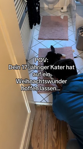 Einen fröhlichen Heiligabend euch allen🎄 Da hat er uns wirklich noch mal Hoffnung gemacht. Aber nur wenige Stunden später mussten wir doch, kurz vor Praxisschluss, zu unserem Tierarzt, anstatt auf den heutigen Termin mit Felmo (dem mobilen Tierarzt) zu warten. Wir wurden nach einer kurzen Untersuchung schon in den „Raum der Stille“ gesetzt… Ich habe mich dazu entschieden, es mit euch zu teilen. Das kommt aber erst nach den Feiertagen! #catfluencer #catzilla #cat #katze #kater #balu #maik_elb