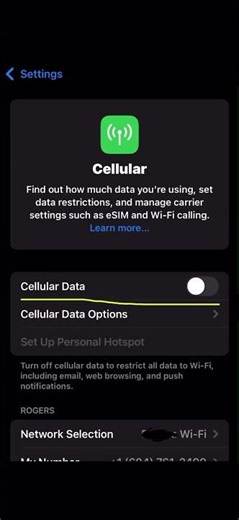 Turn off data: roam charges