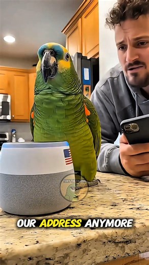 Talking Parrot Orders Food on Alexa… But Sends It to His EX’s House! 😂🦜