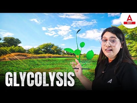 Glycolysis (3D Animation) | NEET UG Mantra | Garima Goel Ma'am