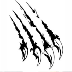 wildcatscratchfever - Twitch