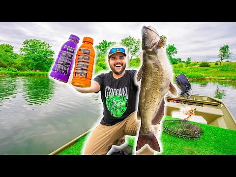 CATFISHING with KSI and Logan Paul's PRIME Drink as BAIT!!! (Catch Clean Cook)