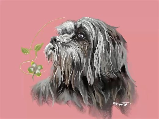 Mareasaurusdraws on Instagram: "2026/1/25 【No. 9】 🌸Kharma🍀 Her eyes convey a lot of stories. All images appearing here are not to be used for any purpose without permission from both myself and original pet owners. Please do not copy, capture or reproduce. #petportrait #dogportrait #dogart #digitaldrawing #digitalart"