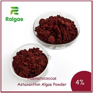 [Hot Item] Natural Haematococcus Pluvialis Microalgae Powder Astaxanthin for Animal Feed Nutrition Supplement