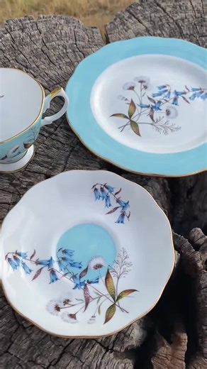 Royal Albert 1950s Festival Bone China Tea Cup, Saucer and Plate Set Royal Albert 100 Years 3 Piece Service - Etsy