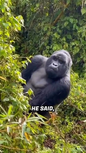 9.7K views · 109 reactions | The Craziest Last Words Ever Recorded.. 凉 | Ron Gives | Facebook