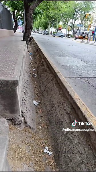 Estaba explicando lo peligrosas que son algunas acequias en Mendoza y un mexicano se cayó....... Después me apareció otro tipo a recriminar y después la abuela a cagarlo a pedo..... En Mendoza pasa de todo. Te amo Mendoza. ❤️ #mendoza #acequias #humor #mendocity