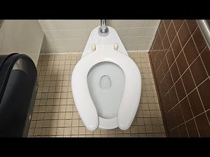 TR #81: The OG 1960's-1970's Crane Hymont Toilet on Flushometer is a Better Swirly Crane FV Toilet