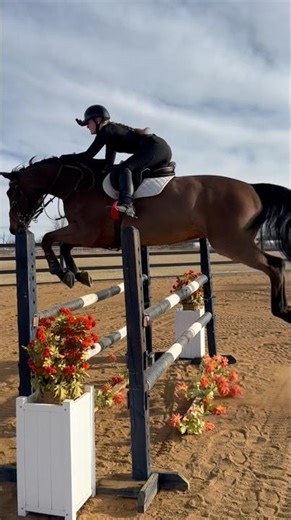 definitely could have used a stronger bit.. but noodle was feeling phenomenal!🙌🏼#equestrian #horse