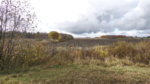 CVA Cascade LR 6.5 PRC monté d’un Vortex Razor 𝐓𝐢𝐫𝐬 𝐝𝐞 𝟒𝟎𝟎 𝐞𝐭 𝟓𝟎𝟎 𝐕𝐞𝐫𝐠𝐞𝐬. Munition Fédéral, boulet Therminal Ascent. Connec Outdoors Connec Outdoors Gravel Agency Vortex Optics Vortex Canada Maniaque de prospection | La chasse avec Charles Dorris