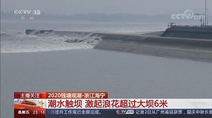 《24小时》 20201002