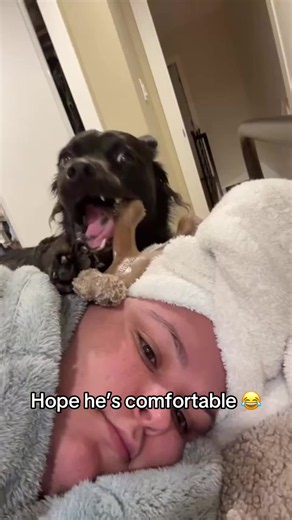 Very comfortable 😂(🎥:@Georgia) | Feeding My Dog