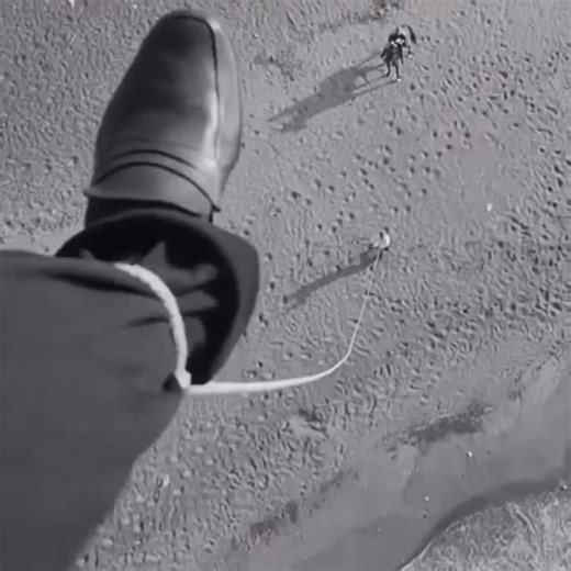 Juxtapoz Magazine on Instagram: "“8½ is an Italian 1963 avant-garde surrealist comedy-drama film directed and co-written by Federico Fellini. The metafictional narrative centers on Guido Anselmi, played by Marcello Mastroianni, a famous Italian film director who suffers from stifled creativity as he attempts to direct an epic science fiction film.” -Wikipedia #juxsaturdayschool"