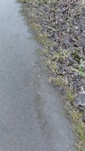 Vlado Hrenka on Reels