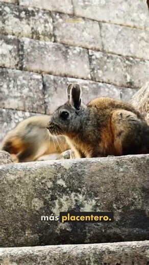 🇵🇪⛰️Machu Picchu Full Day🎟️ 📕⛰️ 3 things you need to know before traveling to Machu Picchu 👀🇵🇪