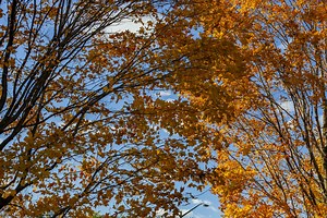 Fall Suppers – Bonjour Manitoba