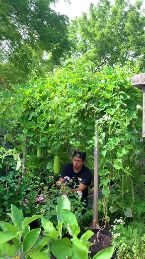 Relaxing Windy Day in the Garden