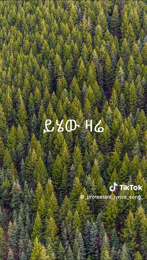 lyrics songs (@_protestant_lyrics_song_)’s videos with original sound - lyrics songs