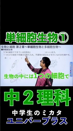 単細胞生物①#単細胞生物 #水中の小さな生物 #ミカヅキモ #中２理科 #定期テスト対策 |#中学理科 #動物 #細胞