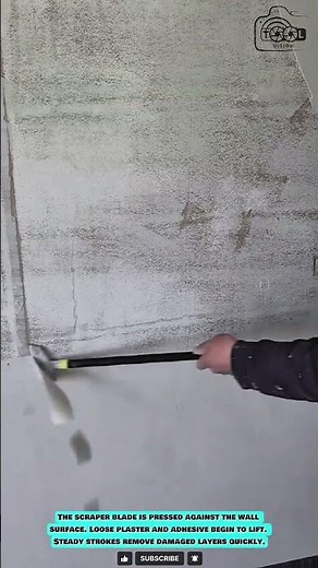 Wall Scraper Tool: Removing Old Plaster and Adhesive Residue Efficiently