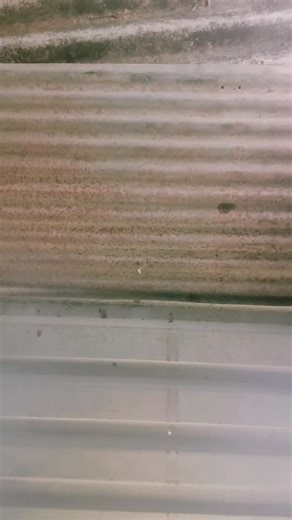 Sunil Panday on Instagram: "Sunil Panday"