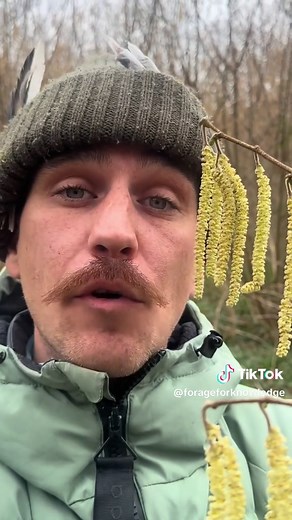 Reviving Catkins: A Step-by-Step Guide