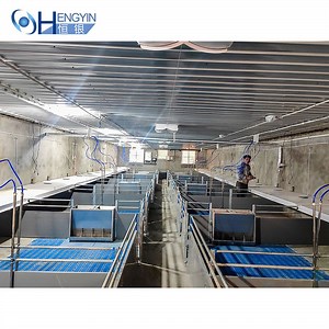[Hot Item] Pig Farm House Design Pig Farming Business Plan Weaner Pen
