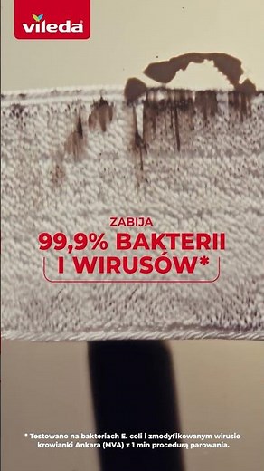 Poznaj Vileda Steam Plus XXL